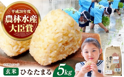 令和8年産 新米 ひなたまる 玄米 5kg 【かづやの農園】 玄米 米 お米 [HAP018]
