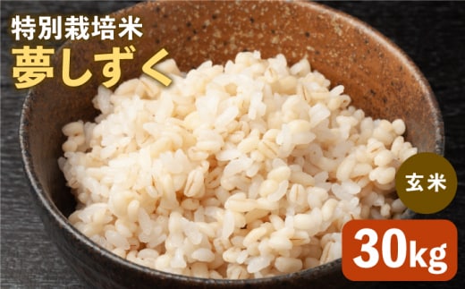 令和7年産 新米 特別栽培米「夢しずく」玄米30kg【だいちの家】佐賀 [HAG022]