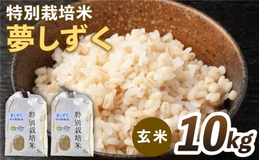 令和7年産 新米 特別栽培米「夢しずく」玄米10kg【だいちの家】佐賀 [HAG023]