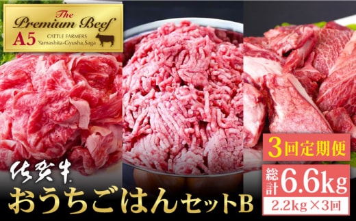 【全3回定期便】佐賀牛 おうちごはんセットB ( 切り落とし 1kg・ミンチ 600g・牛すじ 600g ) 【山下牛舎】 [HAD125]