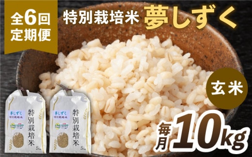 【全6回定期便】特別栽培米「夢しずく」玄米10kg【だいちの家】[HAG025]