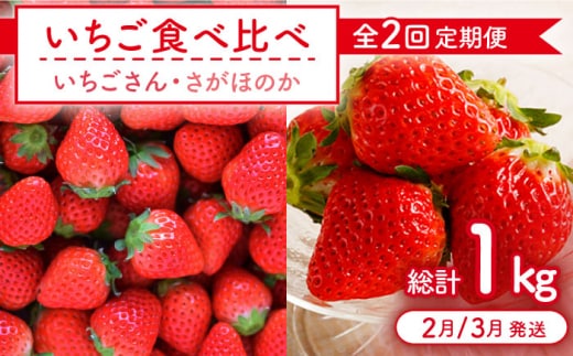 【先行予約】【全2回定期便】いちご食べ比べ定期 総計1kg（さがほのか いちごさん）【むらおか農園】 [HAF026]