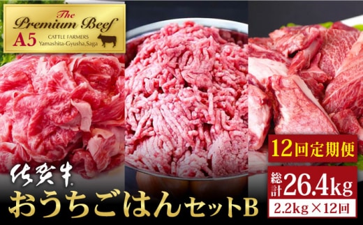 【全12回定期便】佐賀牛 おうちごはんセットB ( 切り落とし 1kg・ミンチ 600g・牛すじ 600g ) 【山下牛舎】A5 [HAD127]