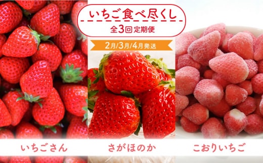 【先行予約】【全3回定期便】いちご食べ尽くし定期（さがほのか いちごさん こおりいちご）【むらおか農園】 [HAF027]