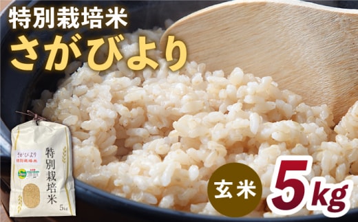 特別栽培米「さがびより」玄米 5kg 【だいちの家】特A米 特A評価 [HAG027]