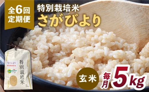 【全6回定期便】特別栽培米「さがびより」玄米 5kg 【だいちの家】特A米 特A評価 [HAG029]
