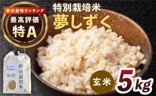 令和7年産 新米 特別栽培米「夢しずく」玄米5kg【だいちの家】 [HAG031]