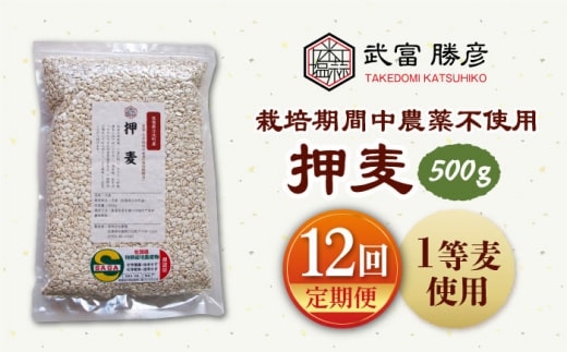 【全12回定期便】栽培期間中農薬不使用 押麦 500g ( 1等麦使用 ) 【葦農】[HAJ039]