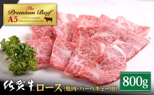 【霜降り A5ランク】佐賀牛 ロース 焼肉用 800g ( 400g×2パック )【山下牛舎】 [HAD051]