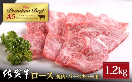 【霜降り A5ランク】佐賀牛 ロース 焼肉用 1.2kg ( 400g×3パック )【山下牛舎】 [HAD052]
