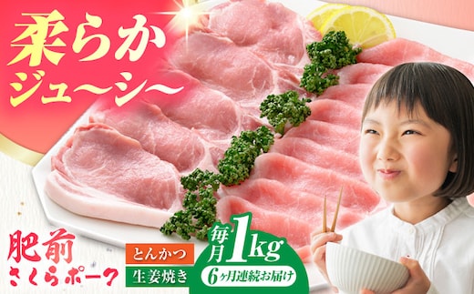 【全6回定期便】肥前さくらポーク 詰め合わせ セット 【JAさが 杵島支所】豚 ロース 豚肉 しょうが焼き とんかつ 生姜焼き トンカツ 豚カツ [HAM073]