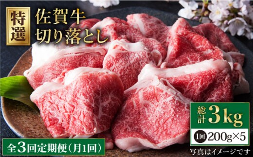 【全3回定期便】佐賀牛 切り落とし 1kg ( 200g×5パック ) 【肉の三栄】 [HAA080]
