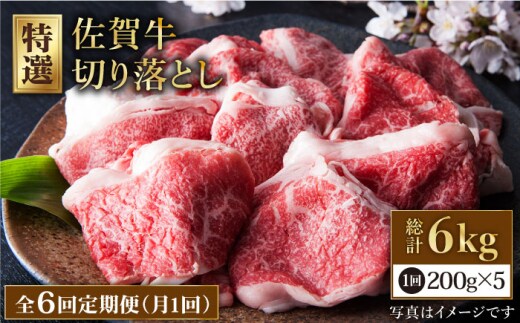 【全6回定期便】佐賀牛 切り落とし 1kg ( 200g×5パック ) 【肉の三栄】 [HAA081]