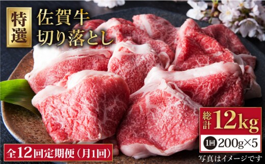 【全12回定期便】佐賀牛 切り落とし 1kg ( 200g×5パック ) 【肉の三栄】 [HAA082]