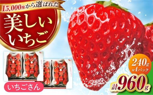 【1月〜3月発送】いちごさん 240g×4パック 【JAさが 杵島支所】 いちご 佐賀 [HAM087]
