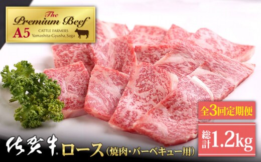 【全3回定期便】佐賀牛 ロース 400g ( 焼肉用 ) 【山下牛舎】 [HAD093]