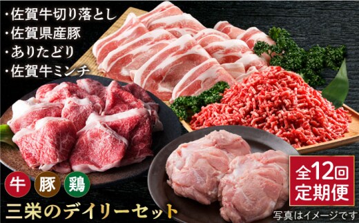 【全12回定期便】ミンチ付き！三栄のデイリーセット 【肉の三栄】 [HAA094]