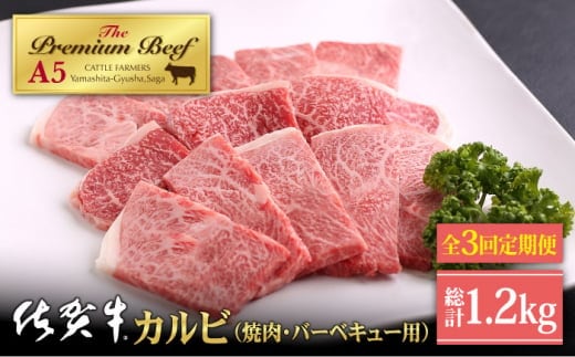 【全3回定期便】佐賀牛 カルビ 400g ( 焼肉用 ) 【山下牛舎】 [HAD094]