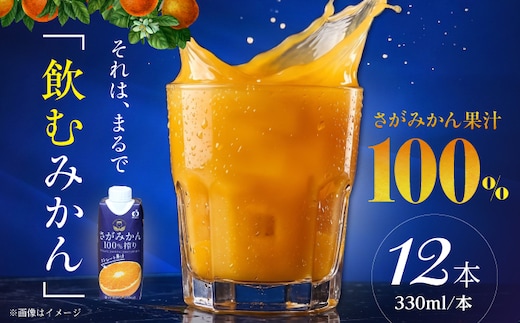 さがみかん100%搾り 330ml×12本入 【JAさが 杵島支所】 [HAM098]
