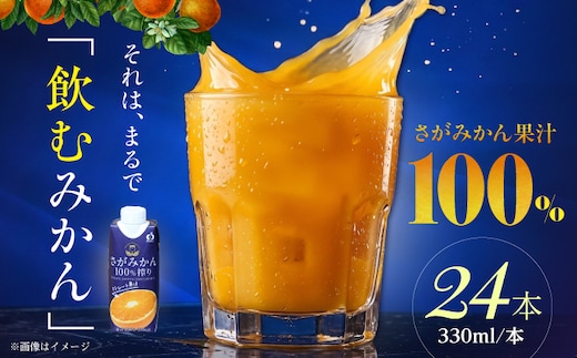 さがみかん100%搾り 2箱（330ml×12本入/箱） 【JAさが 杵島支所】 [HAM099]