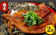 【肉厚ふっくら】国産うなぎ 蒲焼き 2尾【魚正】 [HBV001]