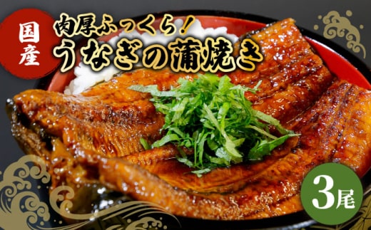 【肉厚ふっくら】国産うなぎ 蒲焼き 3尾【魚正】 [HBV002]