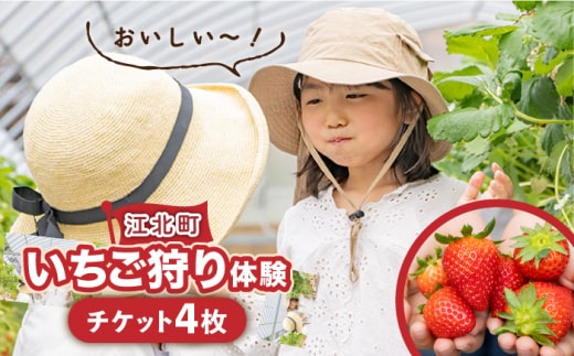 【先行予約】【五感で楽しむ】いちご狩り体験 チケット 4枚【花祭いちごの谷】 [HBN005]