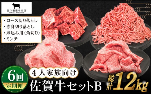 【全6回定期便】4人家族向け 佐賀牛 普段使いセットB【田中畜産牛肉店】 [HBH116]