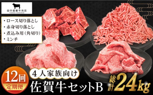 【全12回定期便】4人家族向け 佐賀牛 普段使いセットB【田中畜産牛肉店】 [HBH117]