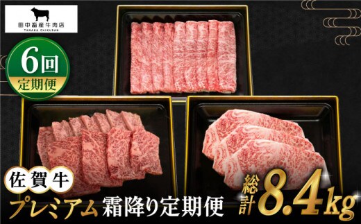 【全6回定期便】佐賀牛 プレミアム霜降り定期便【田中畜産牛肉店】 [HBH026]