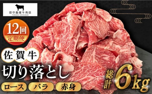 【全12回定期便】佐賀牛 切り落とし 500g【田中畜産牛肉店】 [HBH132]