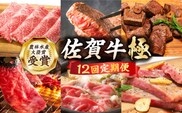 【2度の農林水産大臣賞】【全12回定期便】佐賀牛 贅沢コース＜極み＞【田中畜産牛肉店】定期便 黒毛和牛 牛肉 ヒレ ステーキ スライス 焼肉 国産 牛肉 [HBH135]