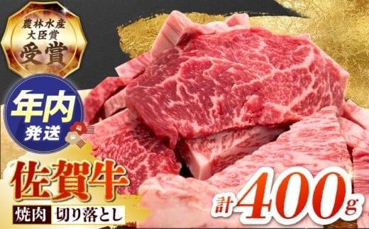 【12/15入金まで年内発送】【2度の農林水産大臣賞】佐賀牛 焼肉用（カルビ・赤身） 400g 【田中畜産牛肉店】佐賀牛 牛肉 切り落とし [HBH143]