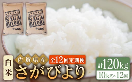 ＜15年連続特A評価＞【全12回定期便】さがびより 白米 10kg ( 5kg×2袋 ) 【五つ星お米マイスター厳選】 [HBL043]特A評価 特A 佐賀 ブランド米 ご飯 米 お米