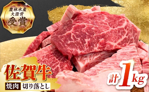 【12/15入金まで年内発送】【2度の農林水産大臣賞】佐賀牛 焼肉用（カルビ・赤身） 1kg【田中畜産牛肉店】佐賀牛 牛肉 切り落とし [HBH144]