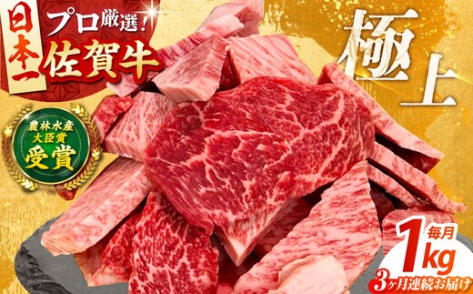 【全3回定期便】佐賀牛 焼肉用（カルビ・赤身） 1kg 【田中畜産牛肉店】 佐賀牛 牛肉 精肉 肉 切り落とし [HBH151]