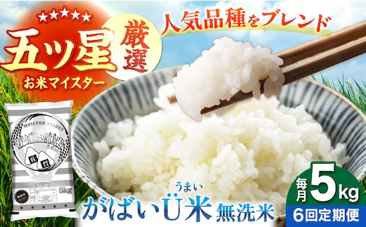 【全6回定期便】がばいU米（うまい）無洗米 5kg 【大塚米穀店】 [HBL156]
