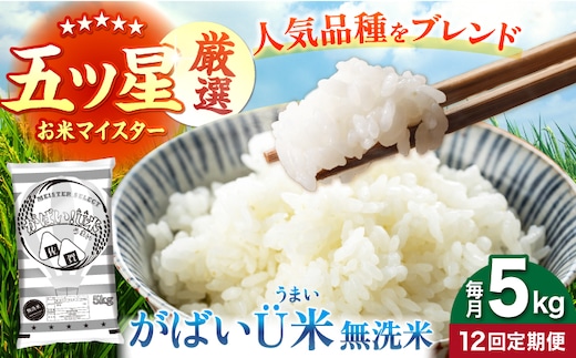 【全12回定期便】がばいU米（うまい）無洗米 5kg 【大塚米穀店】 [HBL157]