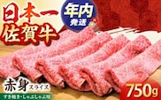 【2度の農林水産大臣賞】佐賀牛 赤身スライス 750g【田中畜産牛肉店】 [HBH058]