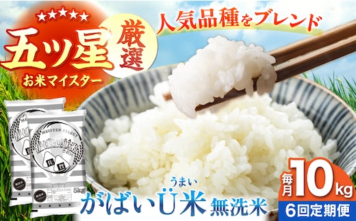 【全6回定期便】がばいU米（うまい）無洗米 10kg 【大塚米穀店】 [HBL159]