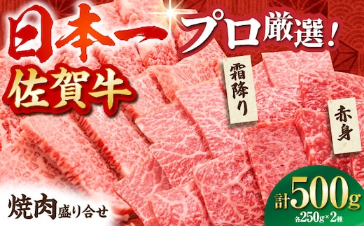 【12/15入金まで年内発送】【2度の農林水産大臣賞】 佐賀牛 焼肉 盛り合わせ 500g（霜降り・赤身 各250g）【田中畜産牛肉店】 黒毛和牛 バーベキュー BBQ [HBH160]