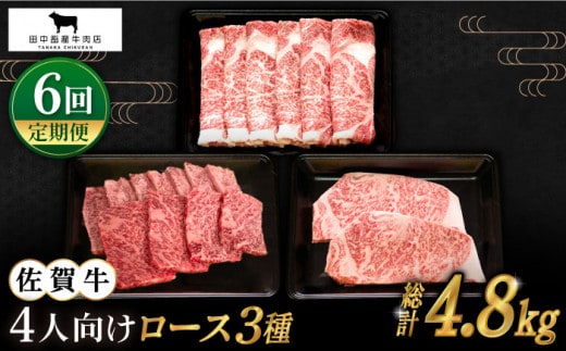 【全6回定期便】4人向け 佐賀牛 ロース 定期便【田中畜産牛肉店】 [HBH082]