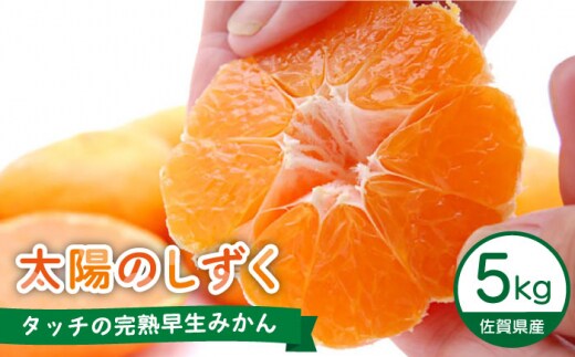 ＜先行予約＞【11月～12月発送】タッチの甘熟 早生みかん 太陽のしずく 5kg【夢の甘熟みかん タッチ】[HCE001]