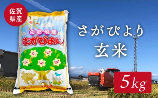 【特別栽培米】令和7年産 新米 ももちゃんちのお米 さがびより 玄米 5kg【ももさき農産】 [HCG004]