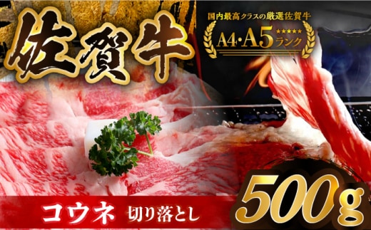 【アレンジ満載！どんな食べ方でも光る味わい】佐賀牛 コウネちゃん 600g（切り落とし肉）【がばいフーズ】 [HCS004]