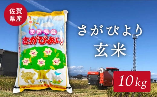【特別栽培米】令和7年産 新米 ももちゃんちのお米 さがびより 玄米 10kg【ももさき農産】 [HCG005]