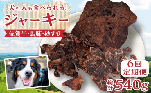 【管理栄養士お手製】＜全6回定期便＞ジャーキーセット（佐賀牛,馬肺,砂ずり）【がばいフーズ】 [HCS009]
