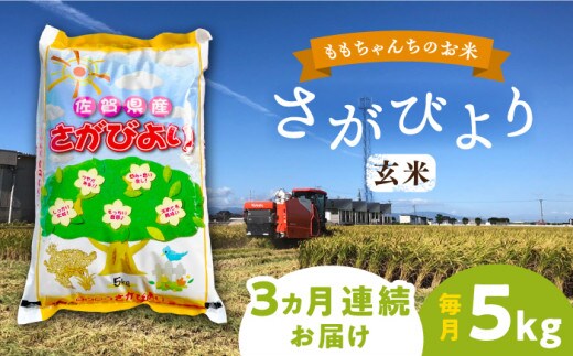 【全3回定期便】ももちゃんちのお米 さがびより 玄米 5kg【ももさき農産】 [HCG011]
