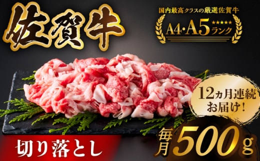 【様々な料理に使いやすい】＜全12回定期便＞佐賀牛切り落とし 500g【がばいフーズ】佐賀牛 A5 しゃぶしゃぶ すき焼き 牛丼 [HCS031]