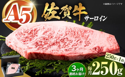 【全国有数のブランド牛】＜全3回定期便＞佐賀牛サーロインステーキ 250g【がばいフーズ】A5ランク 佐賀牛 牛肉 サーロイン ステーキ A5 佐賀牛 [HCS053]